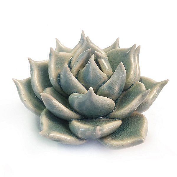 Coral 2 Succulent Flower by Chive CHVY1455655990